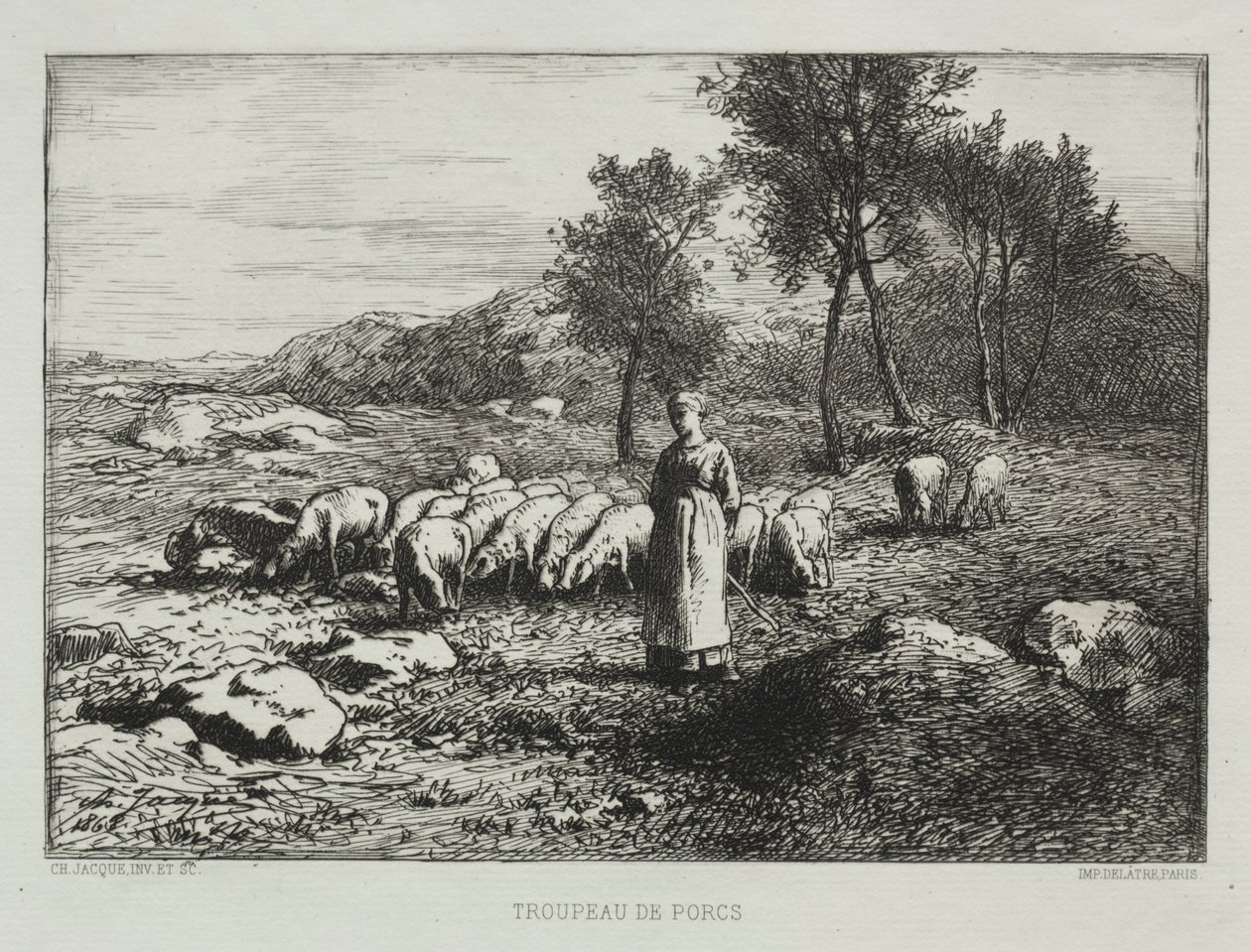 Stado świń autorstwa Charles Emile Jacque