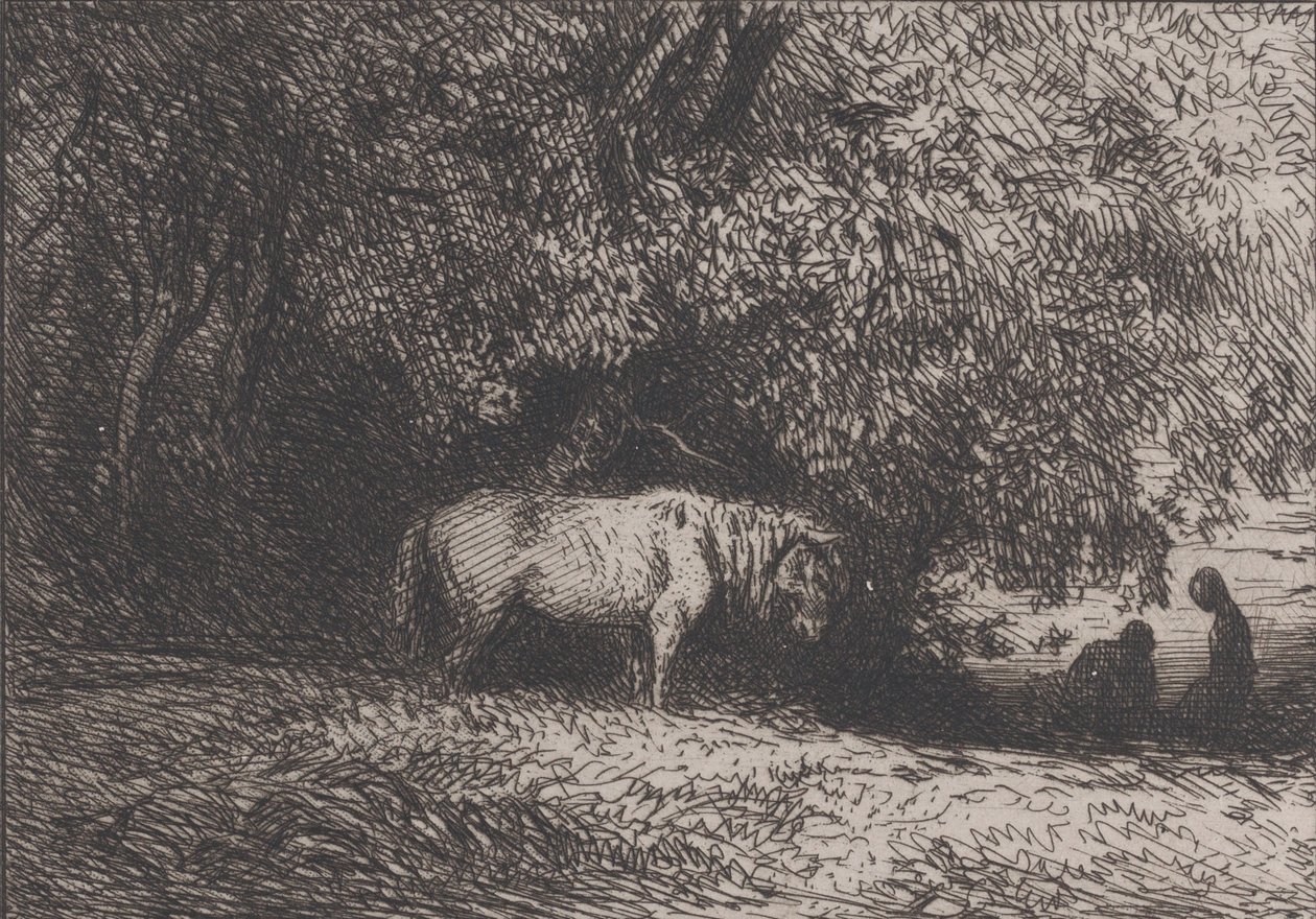 Koń pod gałęzią drzewa, 1846. autorstwa Charles Emile Jacque