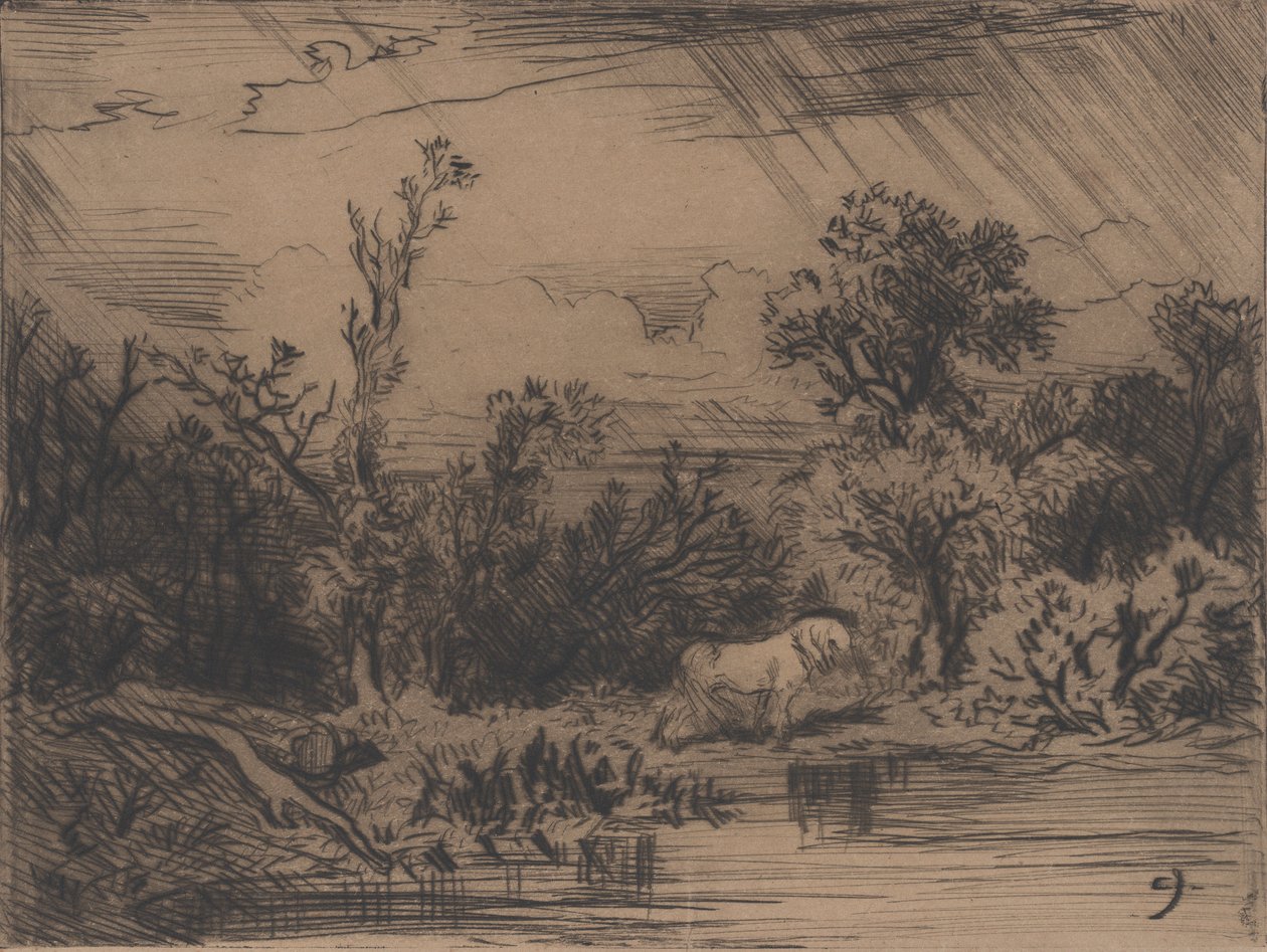 Krajobraz z burzą, 1848. autorstwa Charles Emile Jacque