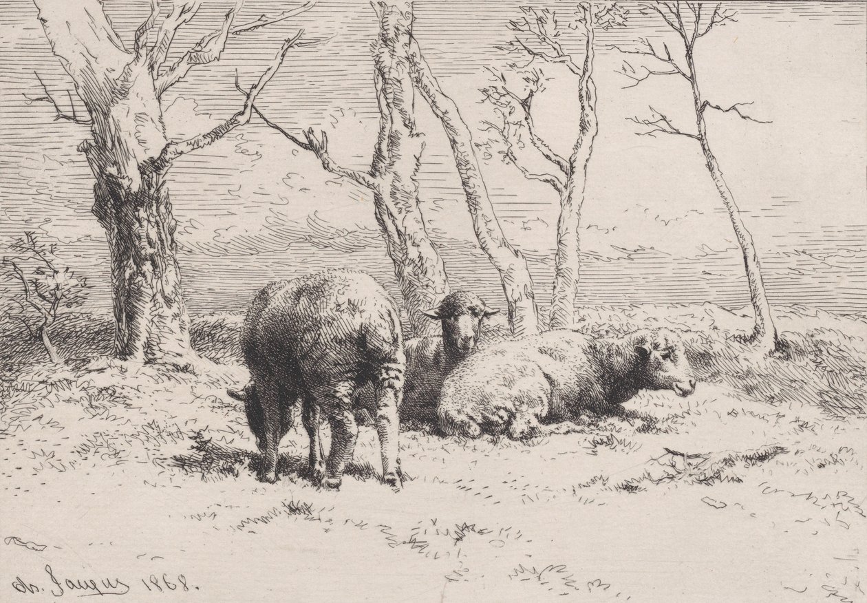 Owce, 1868. autorstwa Charles Emile Jacque