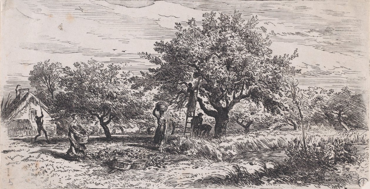 Zbieranie owoców z drzewa przed domkiem, ok. godz. 1852. autorstwa Charles Emile Jacque