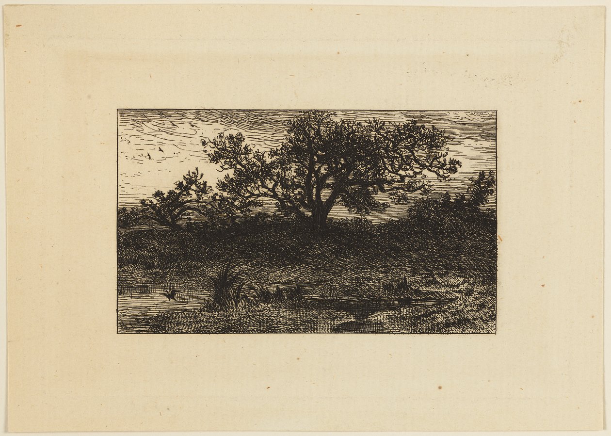 Wydrukować autorstwa Charles Emile Jacque