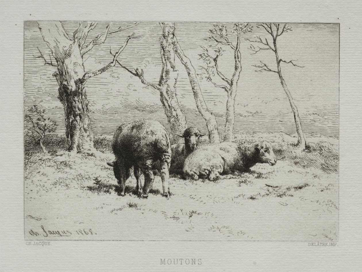 Owce autorstwa Charles Emile Jacque