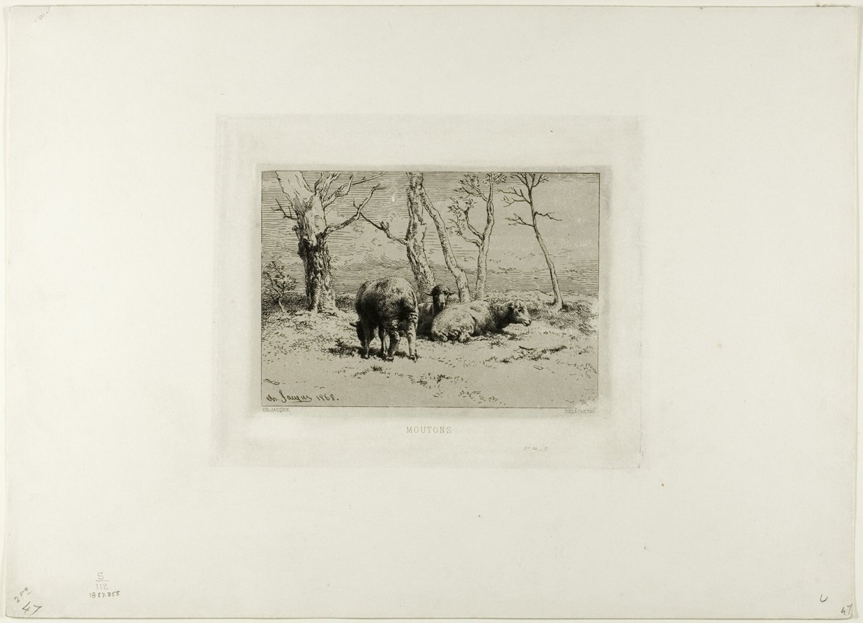 Owce autorstwa Charles Emile Jacque