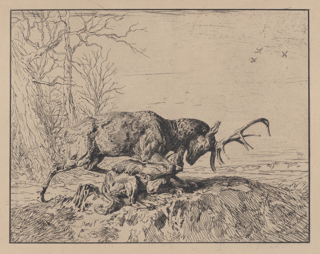 Jeleń walczący z wilkiem, wg Antoine Louis Barye, 1846. autorstwa Charles Emile Jacque