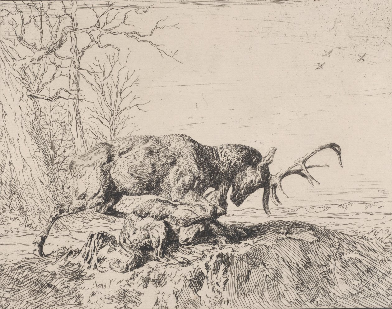 Jeleń walczący z wilkiem, wg Antoine Louis Barye, 1846. autorstwa Charles Emile Jacque