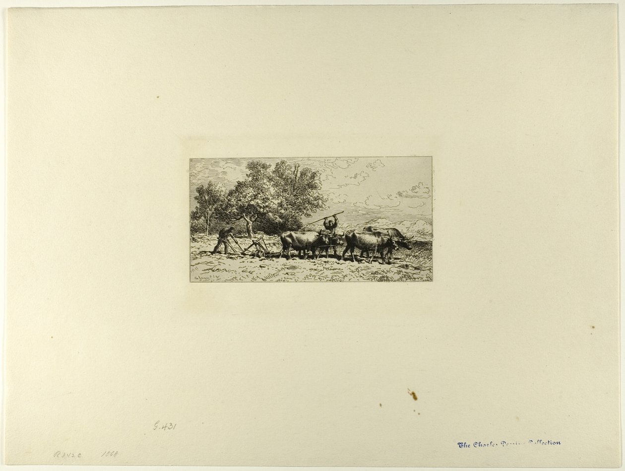 Drużyna Wołów autorstwa Charles Emile Jacque