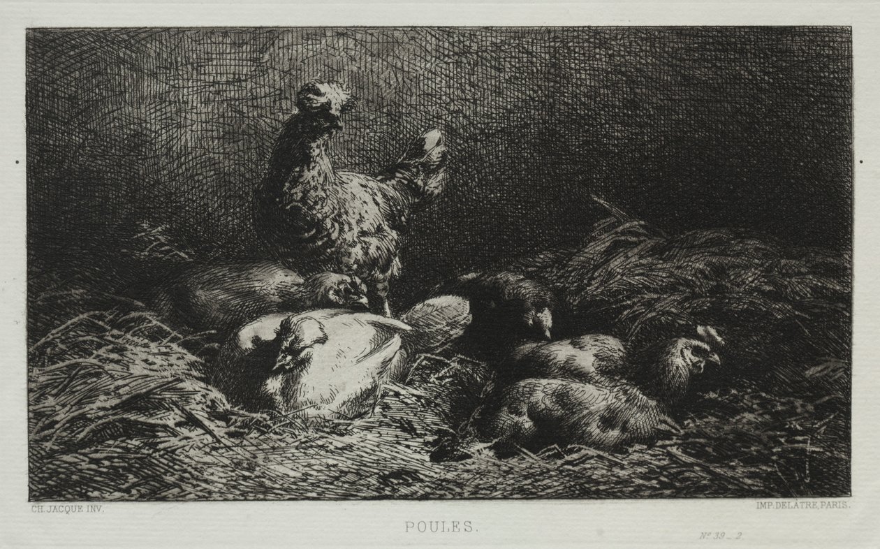 Kurczaki. autorstwa Charles Emile Jacque