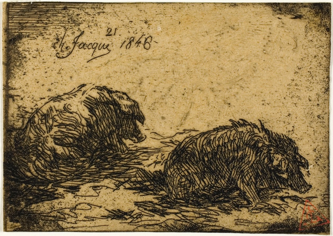 Dwie świnie leżące autorstwa Charles Emile Jacque