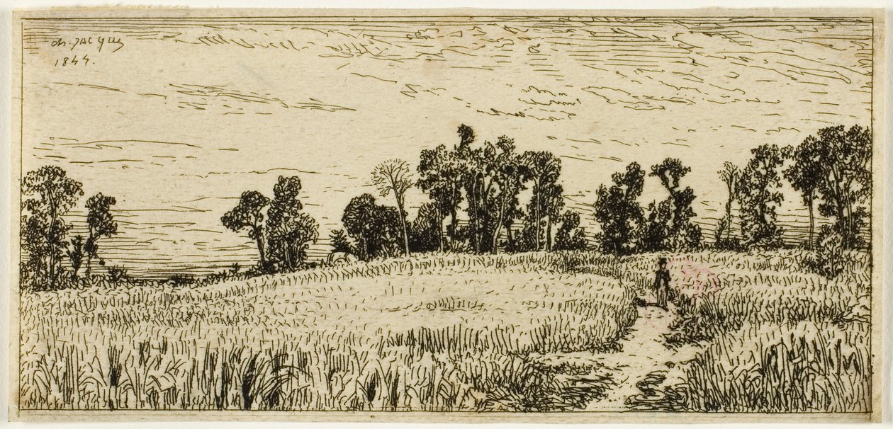 Pole pszenicy autorstwa Charles Emile Jacque