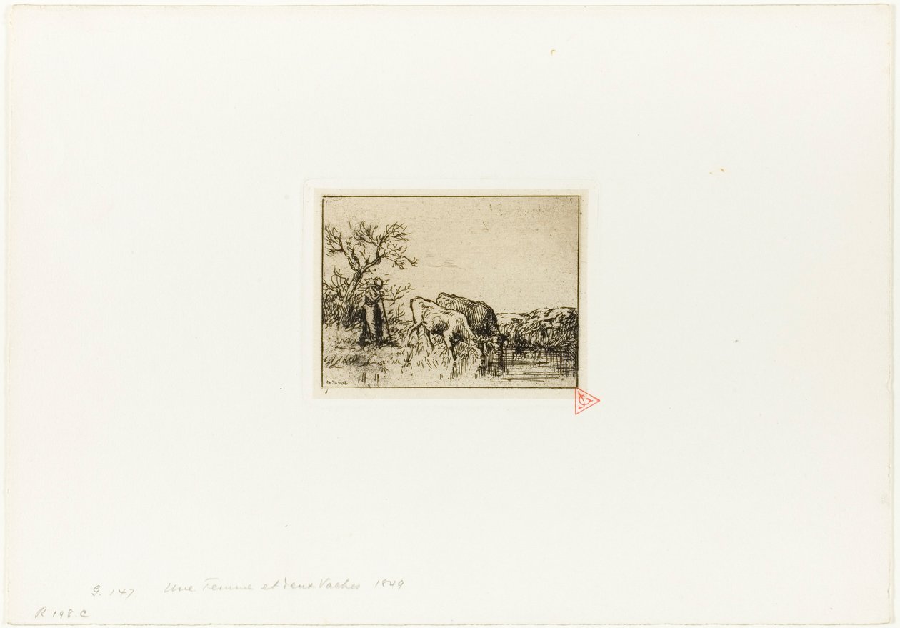 Kobieta pasąca dwie krowy autorstwa Charles Emile Jacque