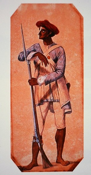 Żołnierz Tipu Sultan, sułtan Mysore, uzbrojony w muszkiet skałkowy (kolor lito) autorstwa Charles Emilius (after) Gold