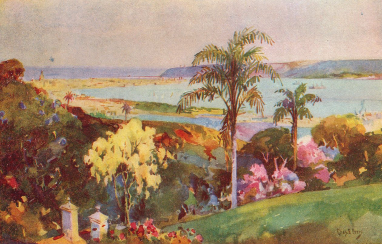 Port Natal, Durban (kolorowa litografia) autorstwa Charles Ernest Peers