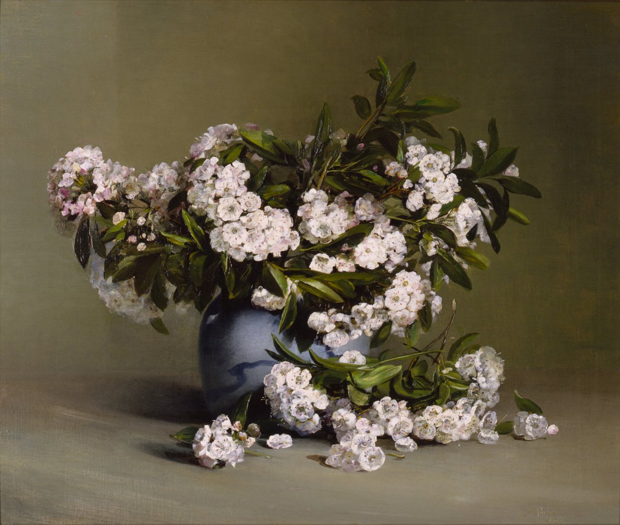 Mountain Laurel autorstwa Charles Ethan Porter