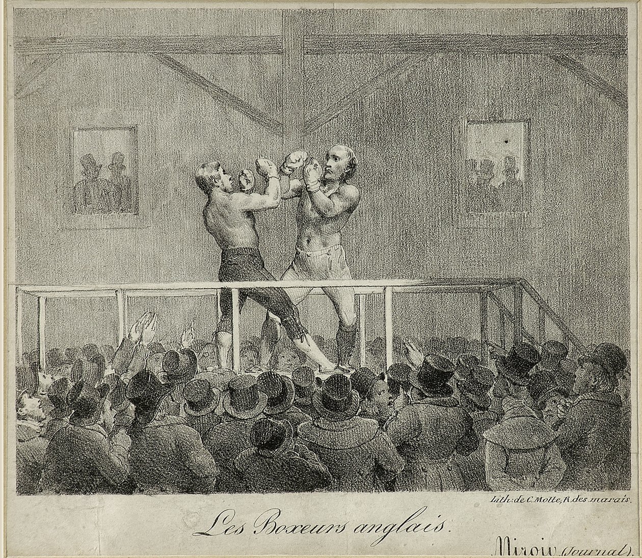 Bokserki angielskie (lito) autorstwa Charles Etienne Pierre Motte