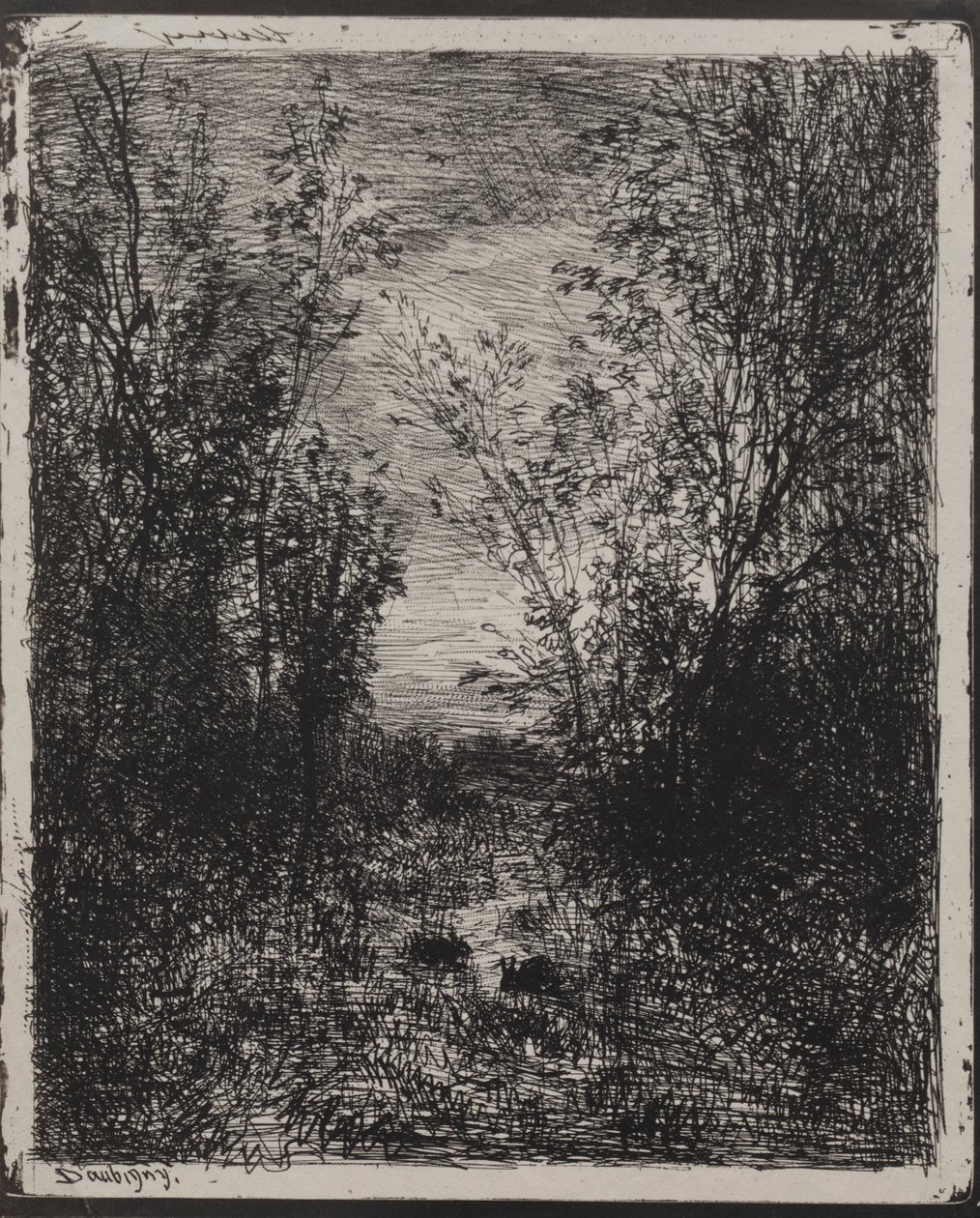 Strumień na polanie, oryginalny nadruk 1862, wydrukowany w 1921 r. autorstwa Charles Francois Daubigny