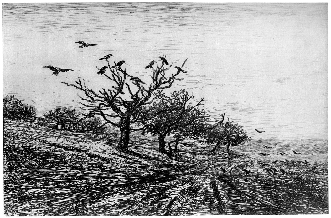 Krucze Drzewo, 1840-1875, 1924 autorstwa Charles Francois Daubigny
