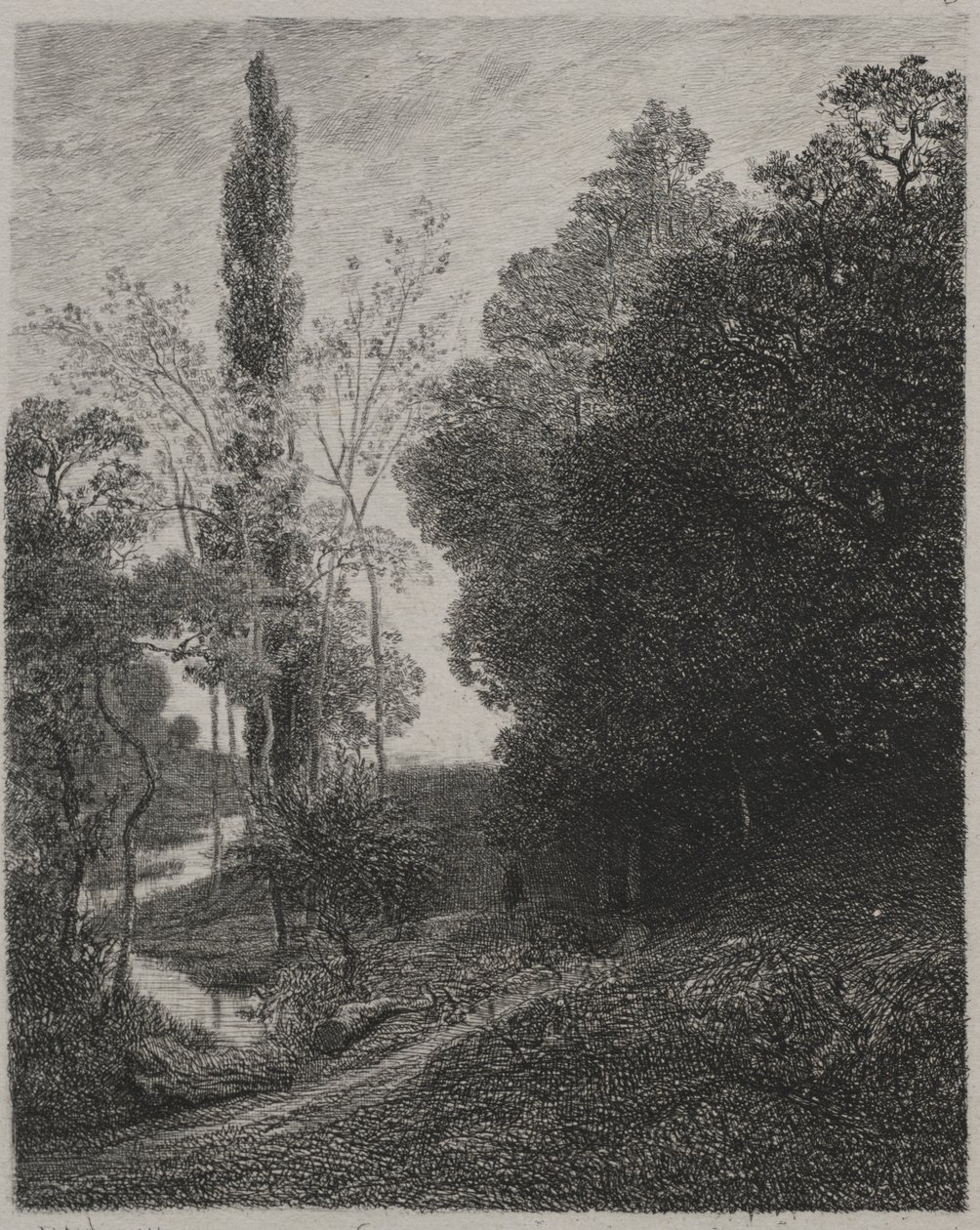 Brzegi rzeki Cousin autorstwa Charles Francois Daubigny