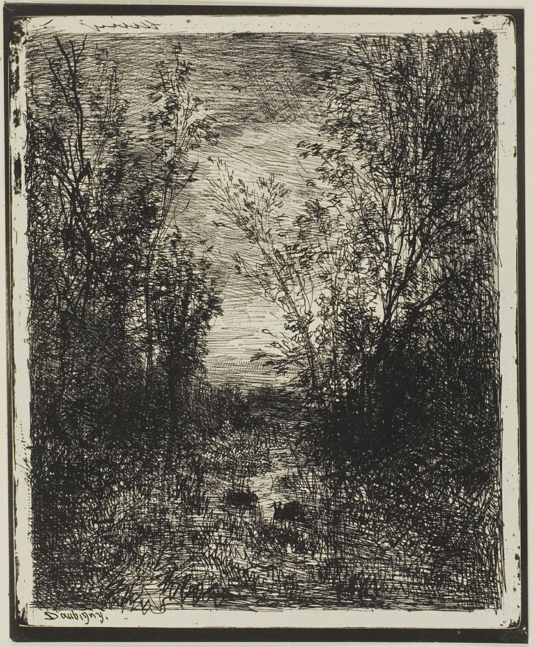 Brook na Polanie autorstwa Charles Francois Daubigny