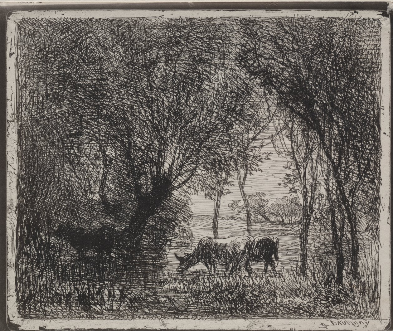 Krowy w lesie autorstwa Charles Francois Daubigny