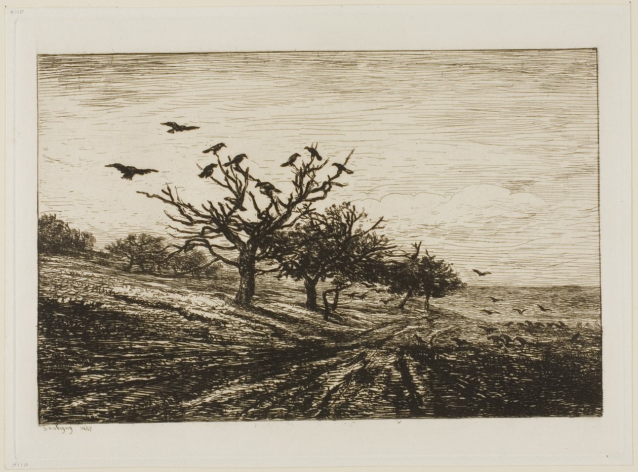 Wrony na drzewie autorstwa Charles Francois Daubigny