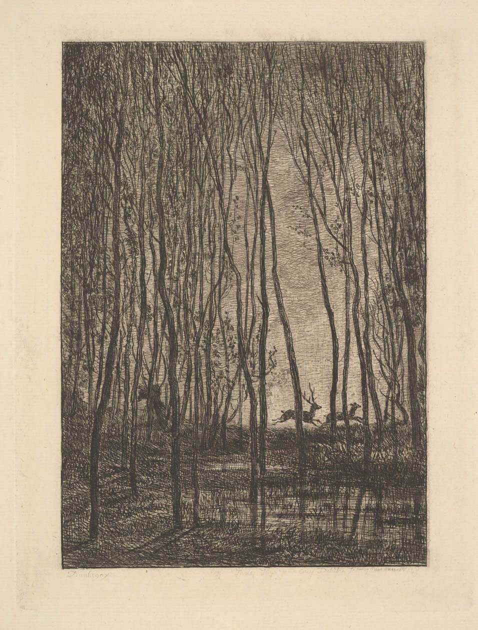 Jeleń w lesie, 1850. autorstwa Charles Francois Daubigny