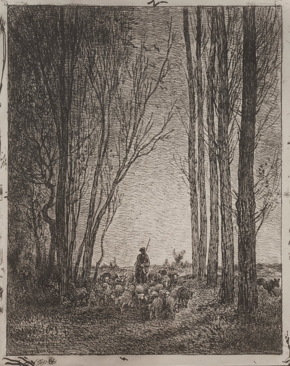 Zgromadzenie w Stadzie, nadruk oryginalny 1862, wydrukowany w 1921 r. autorstwa Charles Francois Daubigny