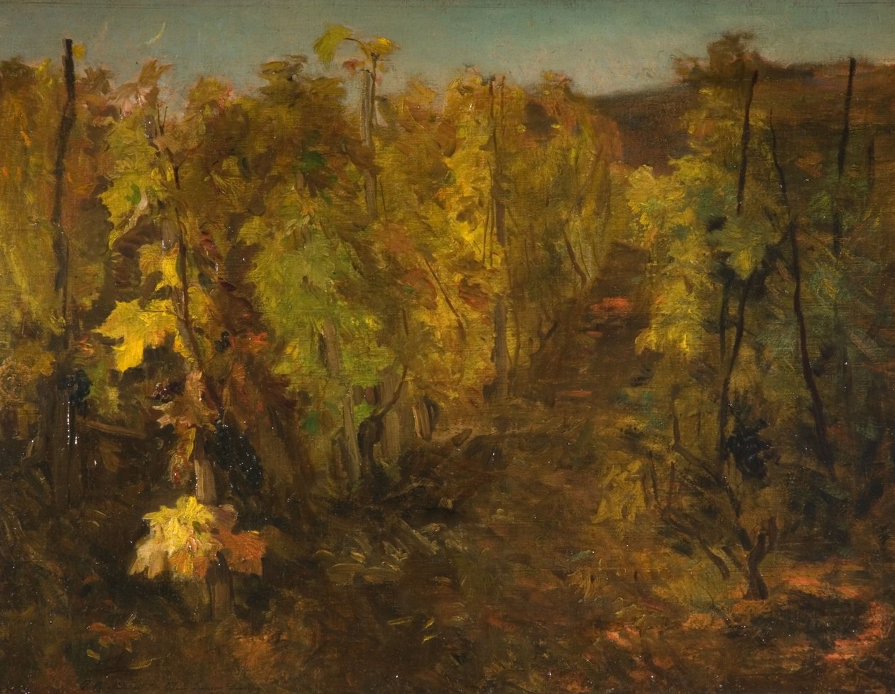 Winorośli, 1860-1863 autorstwa Charles Francois Daubigny