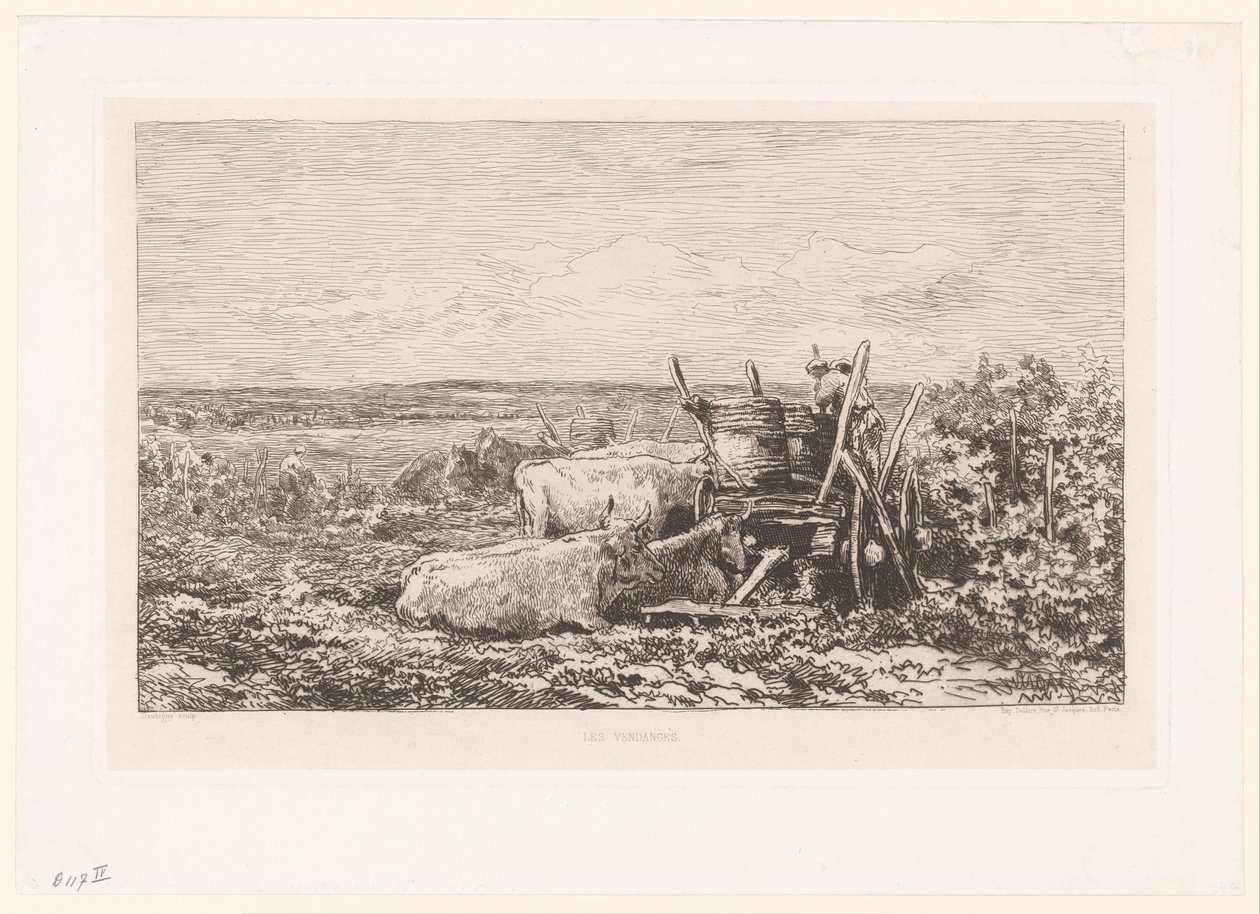 Krajobraz z odpoczywającym bydłem między winoroślami Les vendges. (tytuł na obiekcie) autorstwa Charles Francois Daubigny