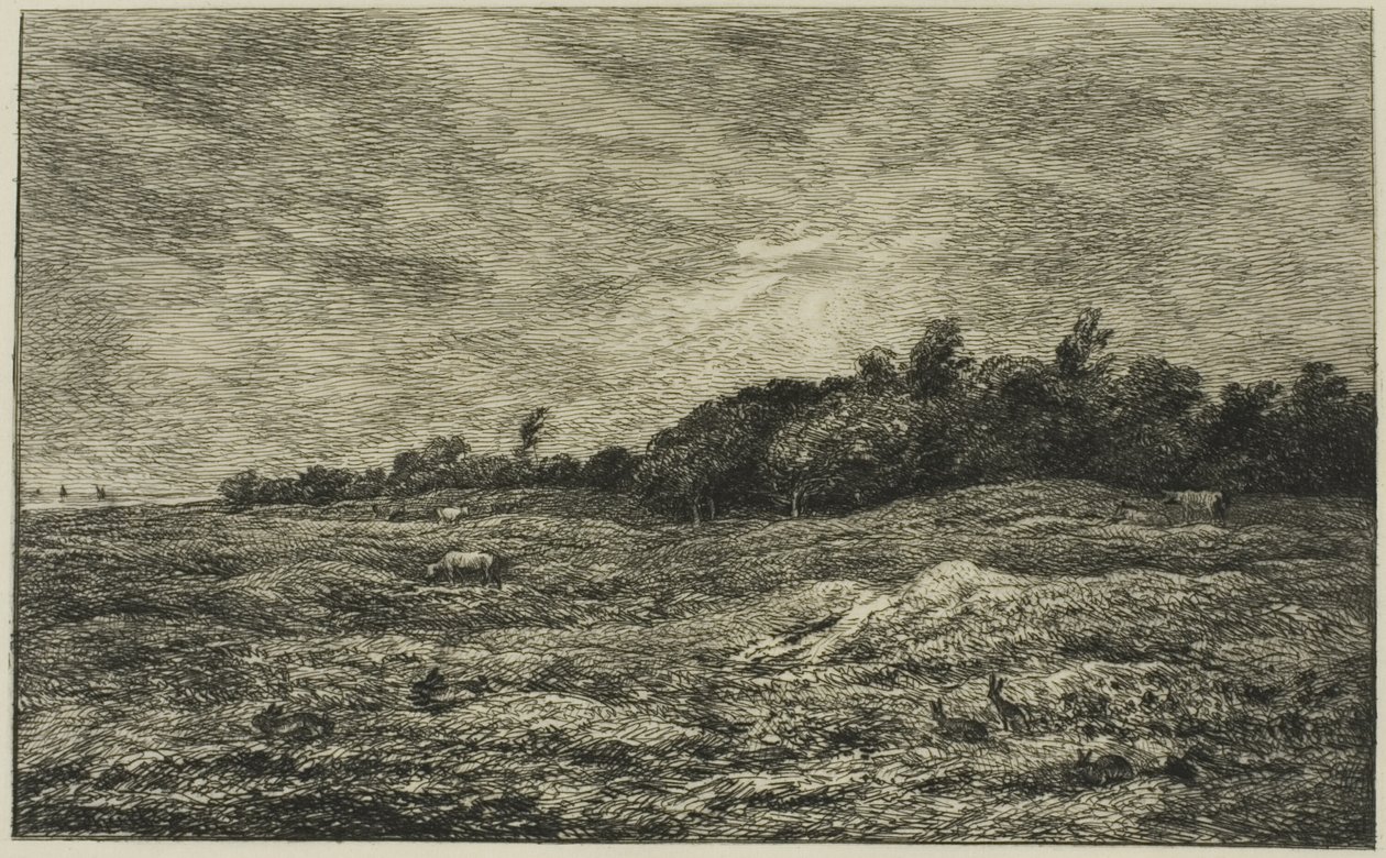 Pre des Graves w Villerville (Calvados) autorstwa Charles Francois Daubigny