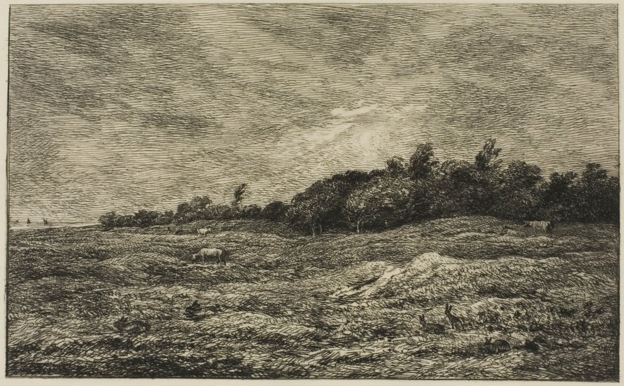 Pre des Graves w Villerville (Calvados) autorstwa Charles Francois Daubigny