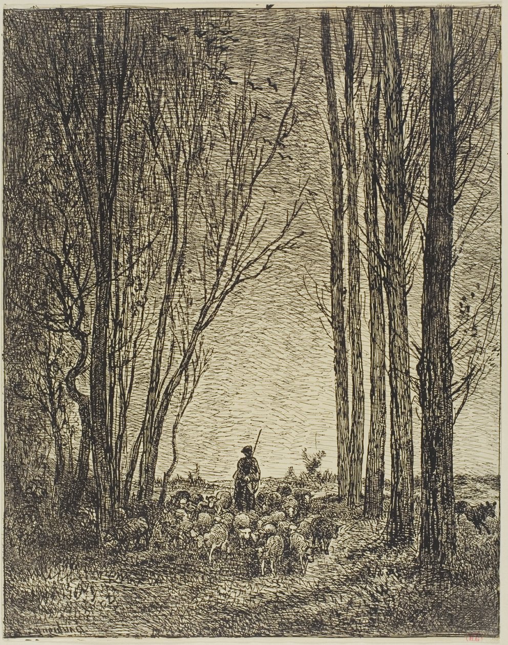 Powrót stada autorstwa Charles Francois Daubigny