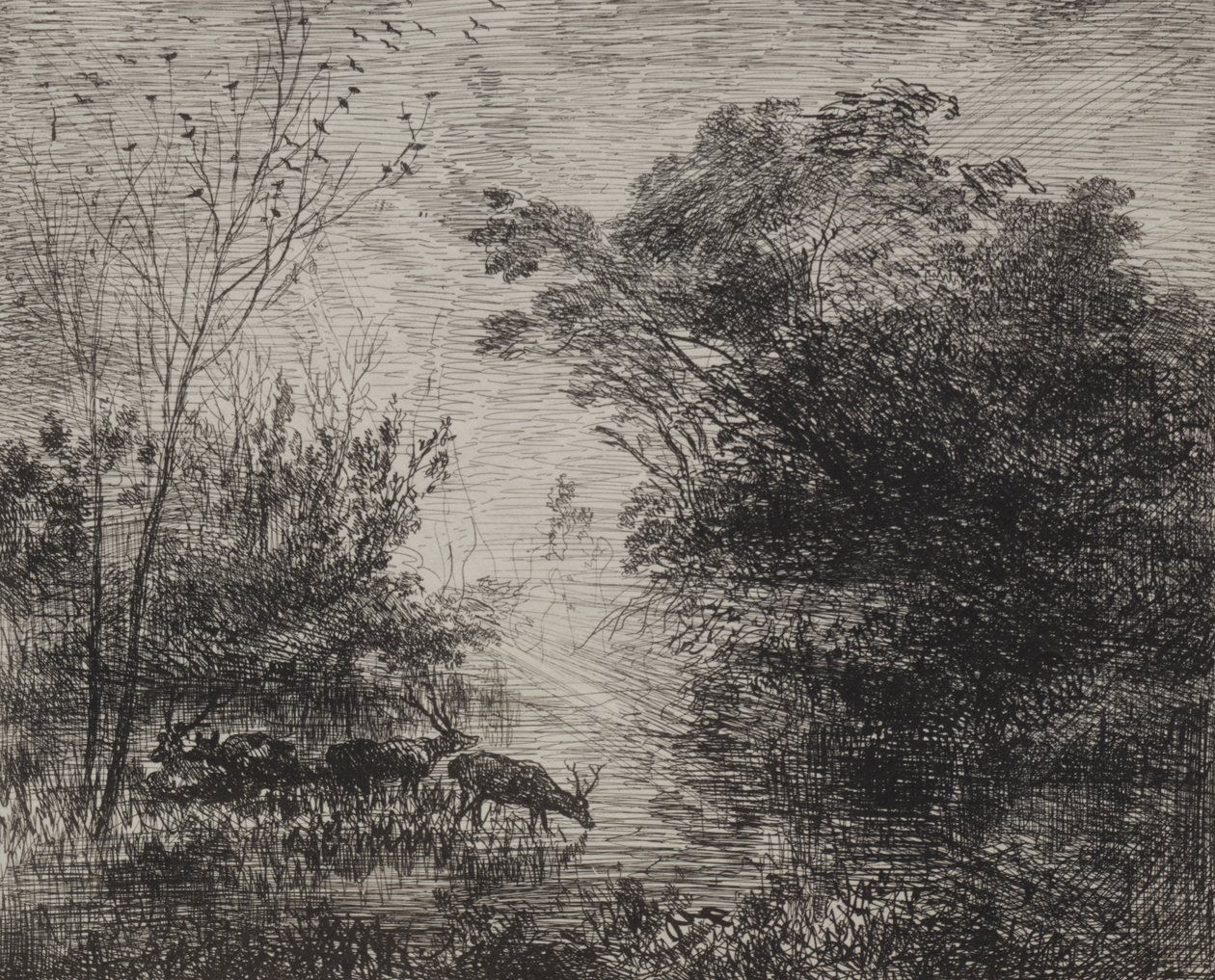 Jelenie autorstwa Charles Francois Daubigny
