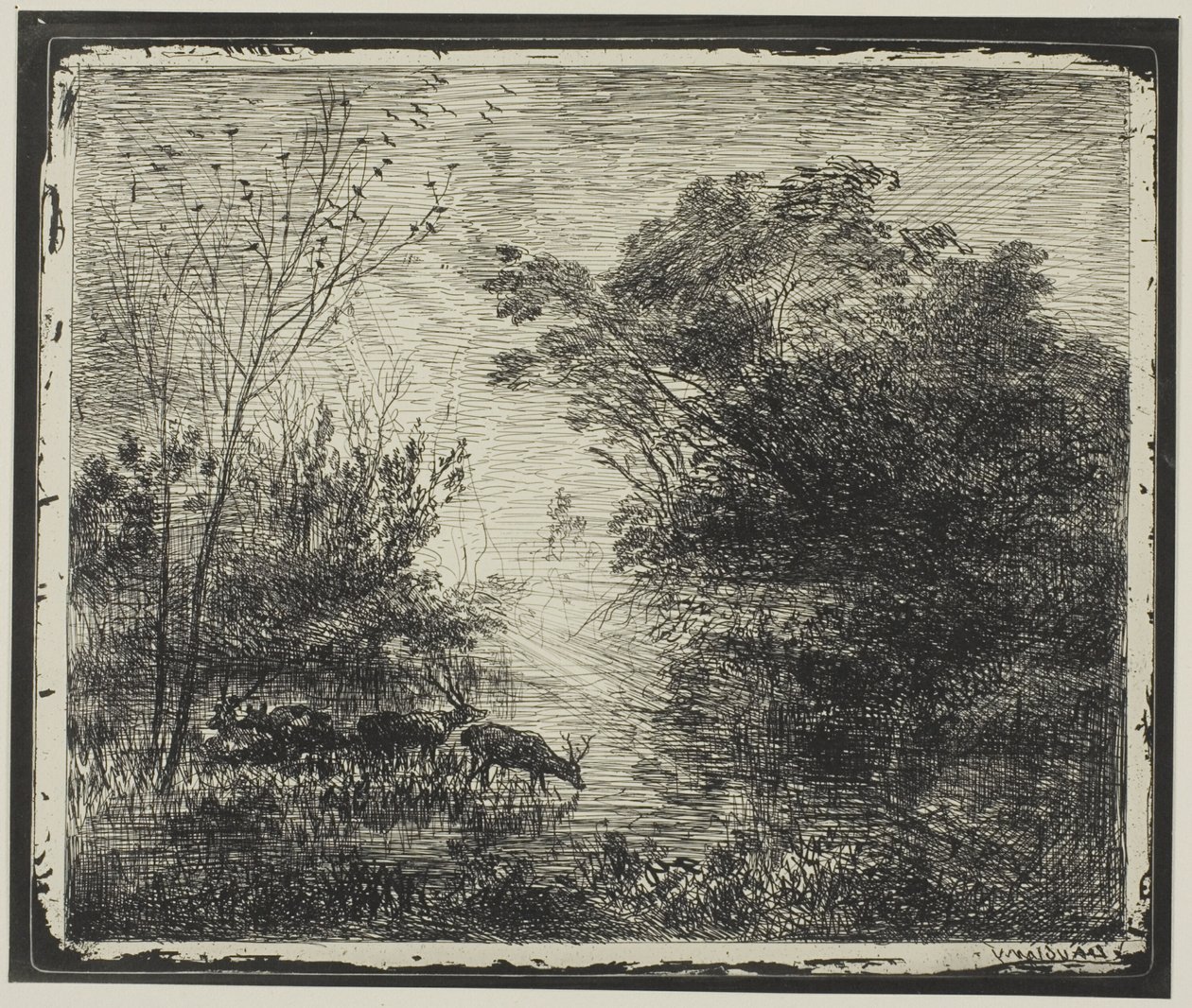 Jelenie autorstwa Charles Francois Daubigny