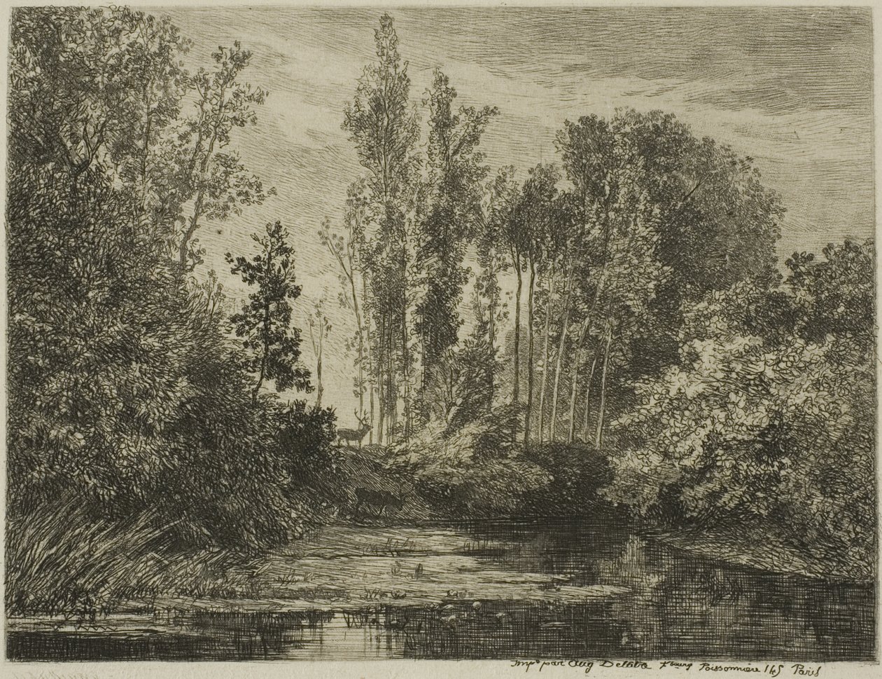 Jelenie na brzegu wody autorstwa Charles Francois Daubigny