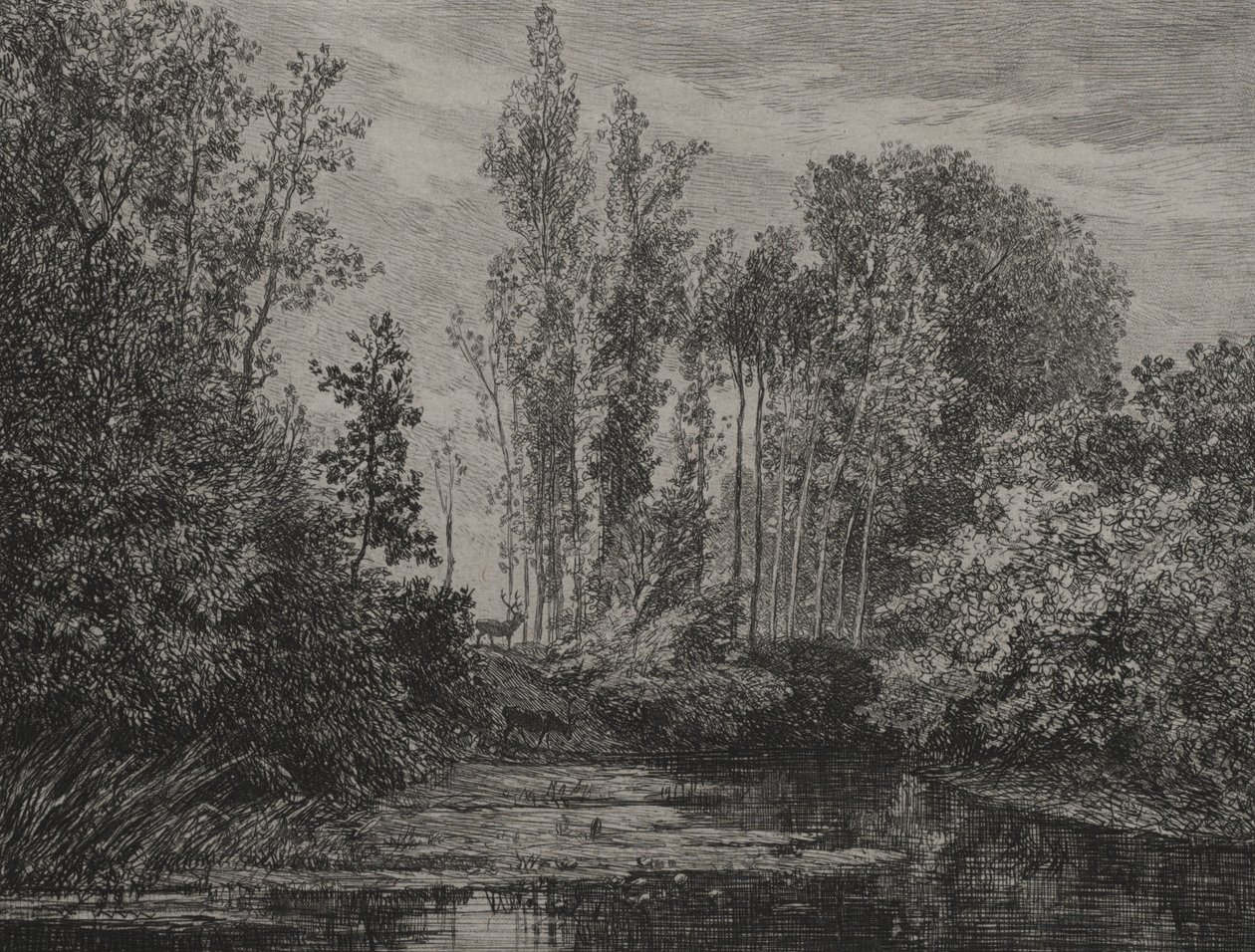 Jelenie nad wodą autorstwa Charles Francois Daubigny