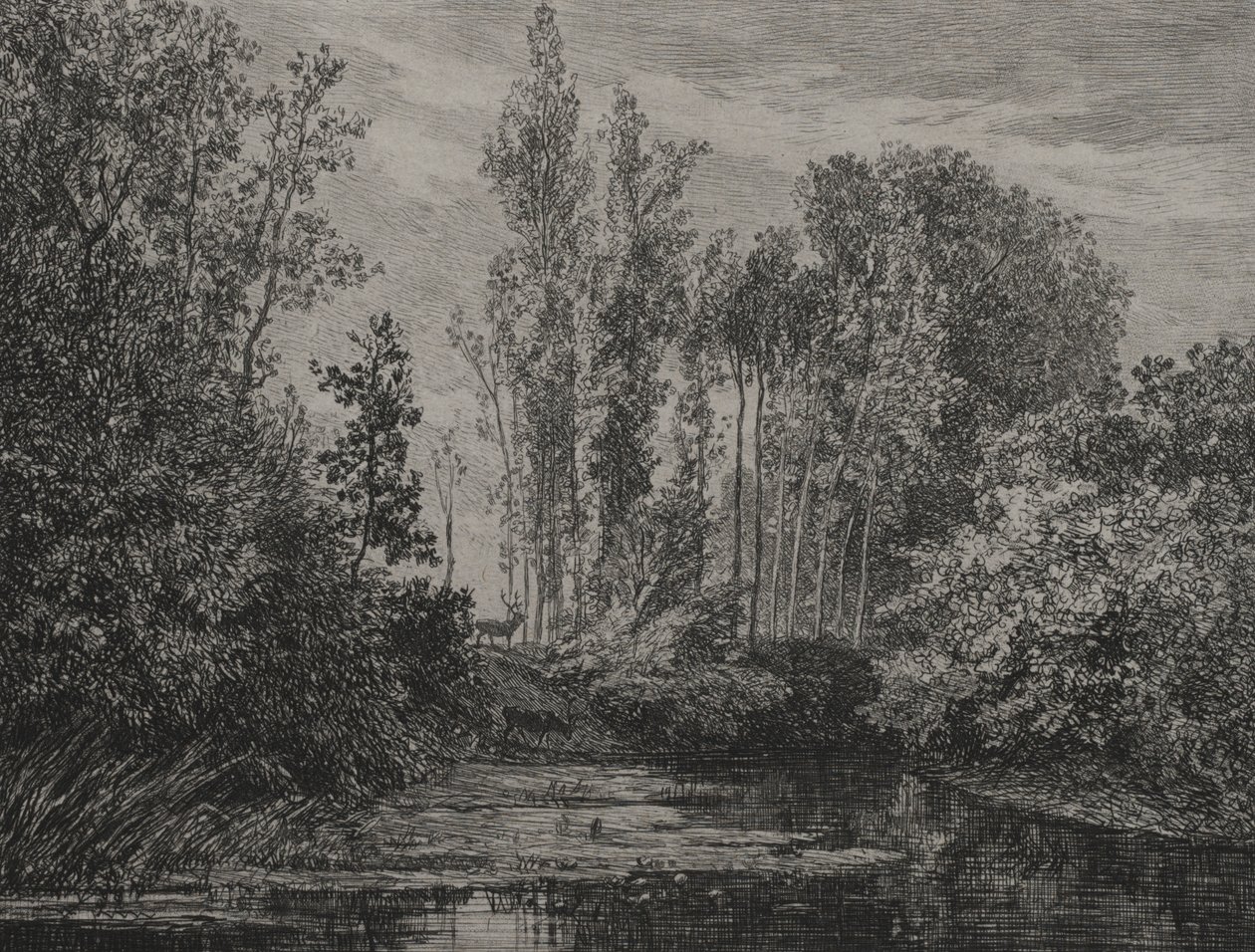 Jelenie na brzegu, 1850 r. autorstwa Charles Francois Daubigny