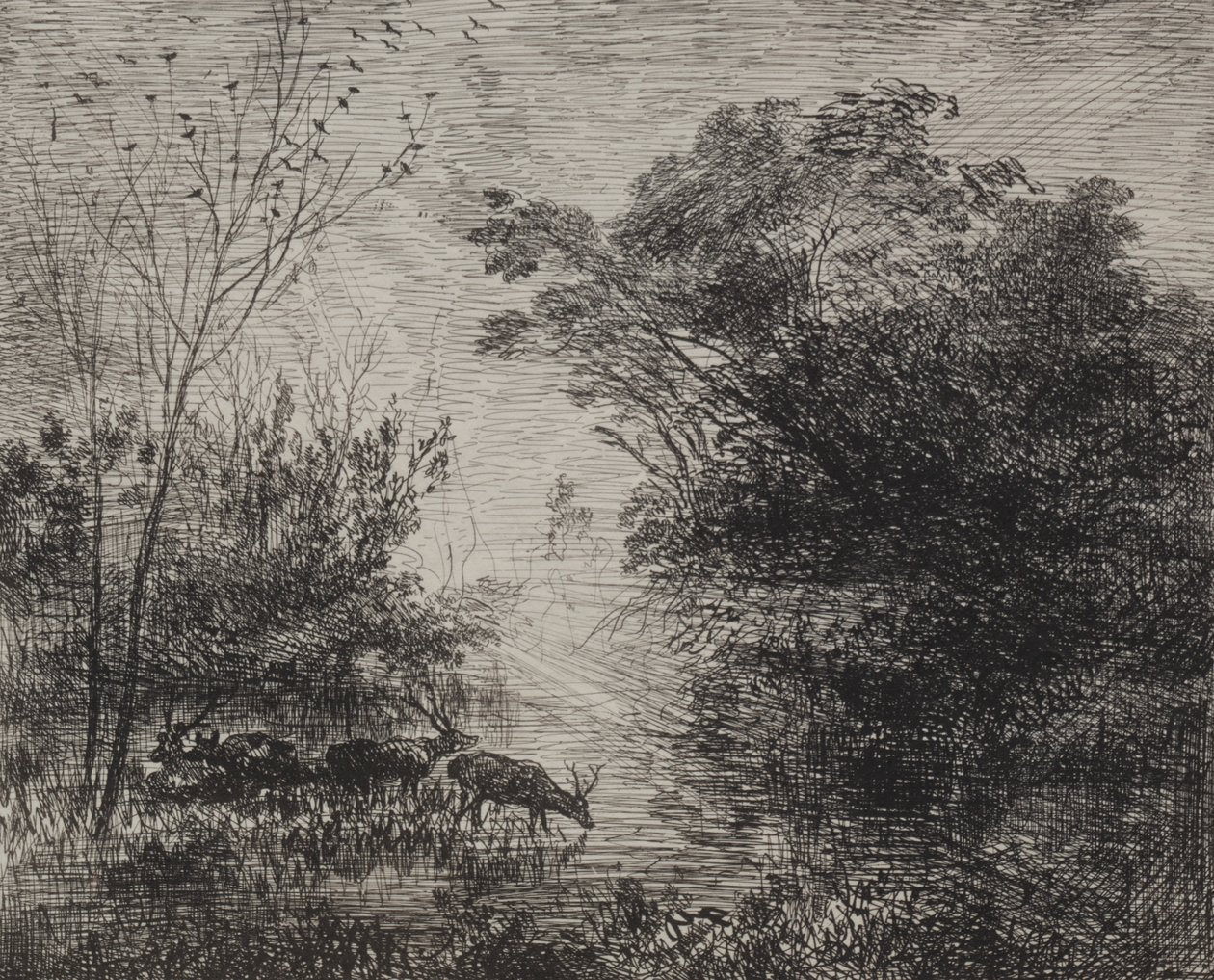 Jelenie, nadruk oryginalny 1862, druk 1921. autorstwa Charles Francois Daubigny
