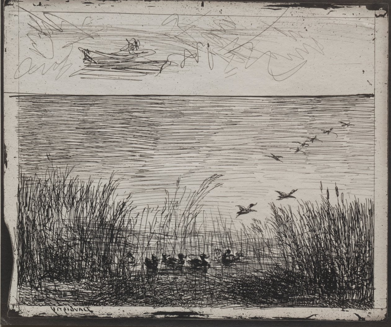 Bagno z kaczkami, oryginalne wrażenie 1862, wydrukowane w 1921. autorstwa Charles Francois Daubigny