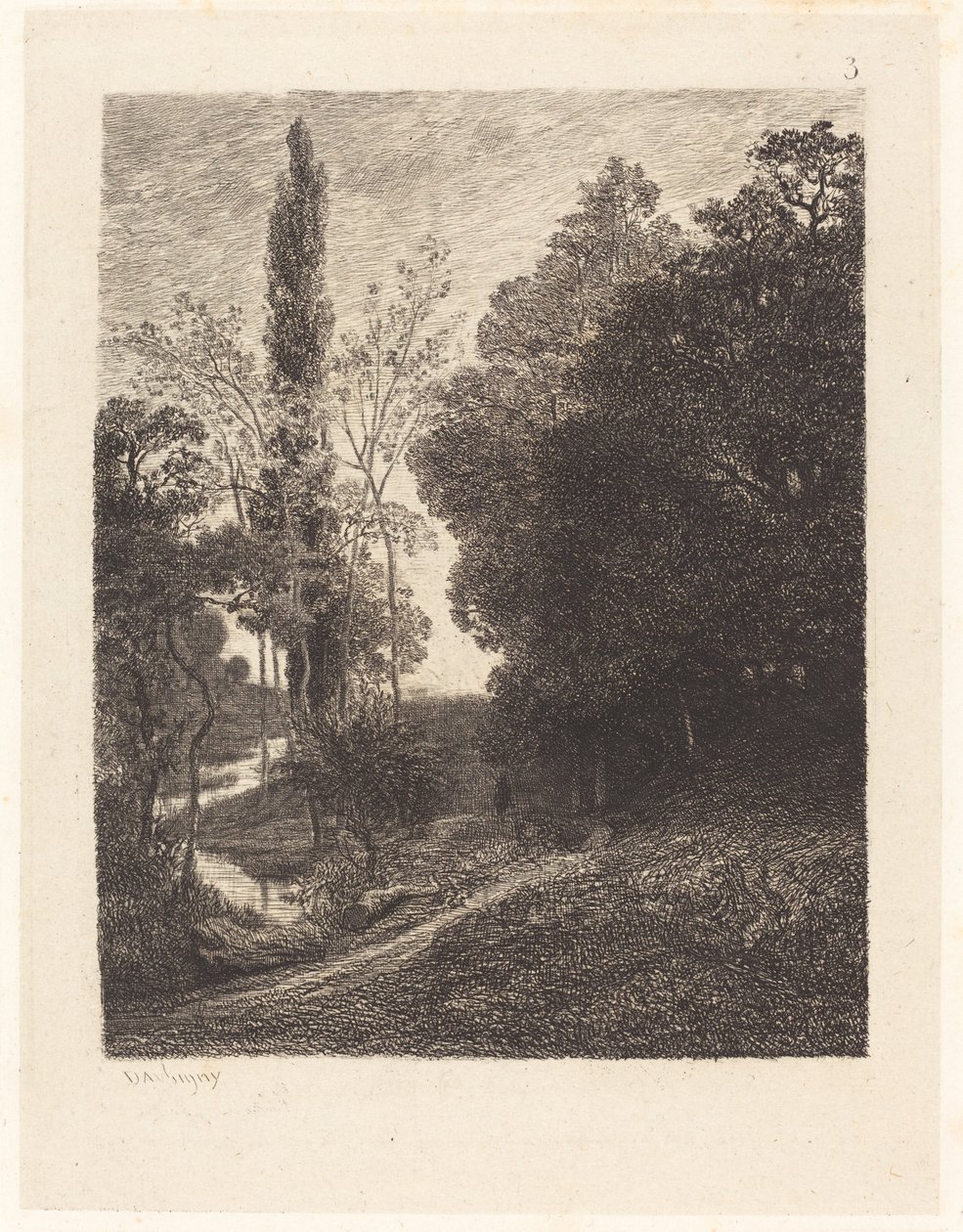 Banki kuzyna (Les Bords du Cousin) autorstwa Charles Francois Daubigny