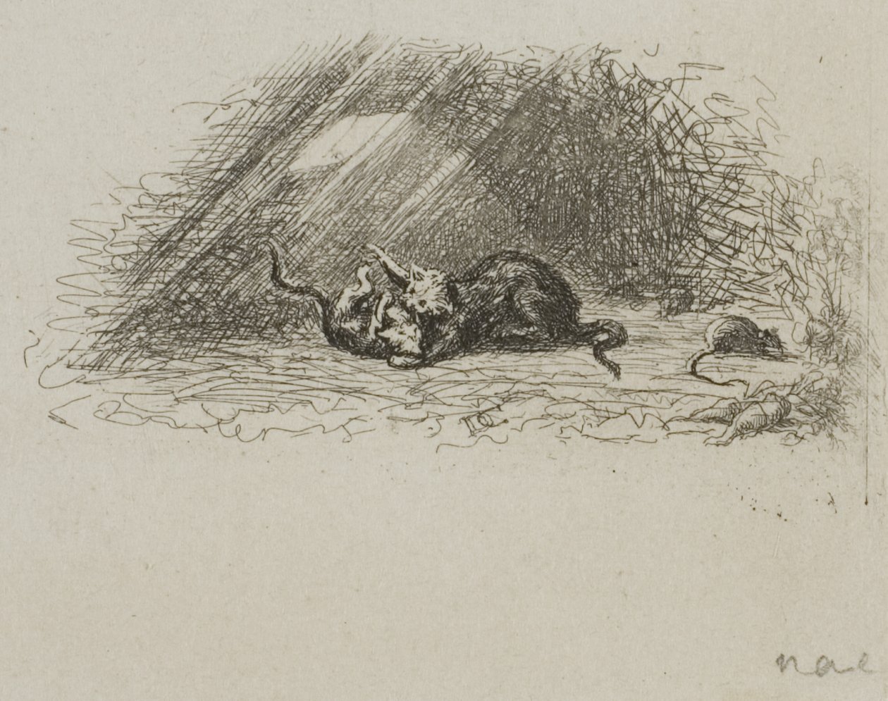 Cedr Libanu autorstwa Charles Francois Daubigny