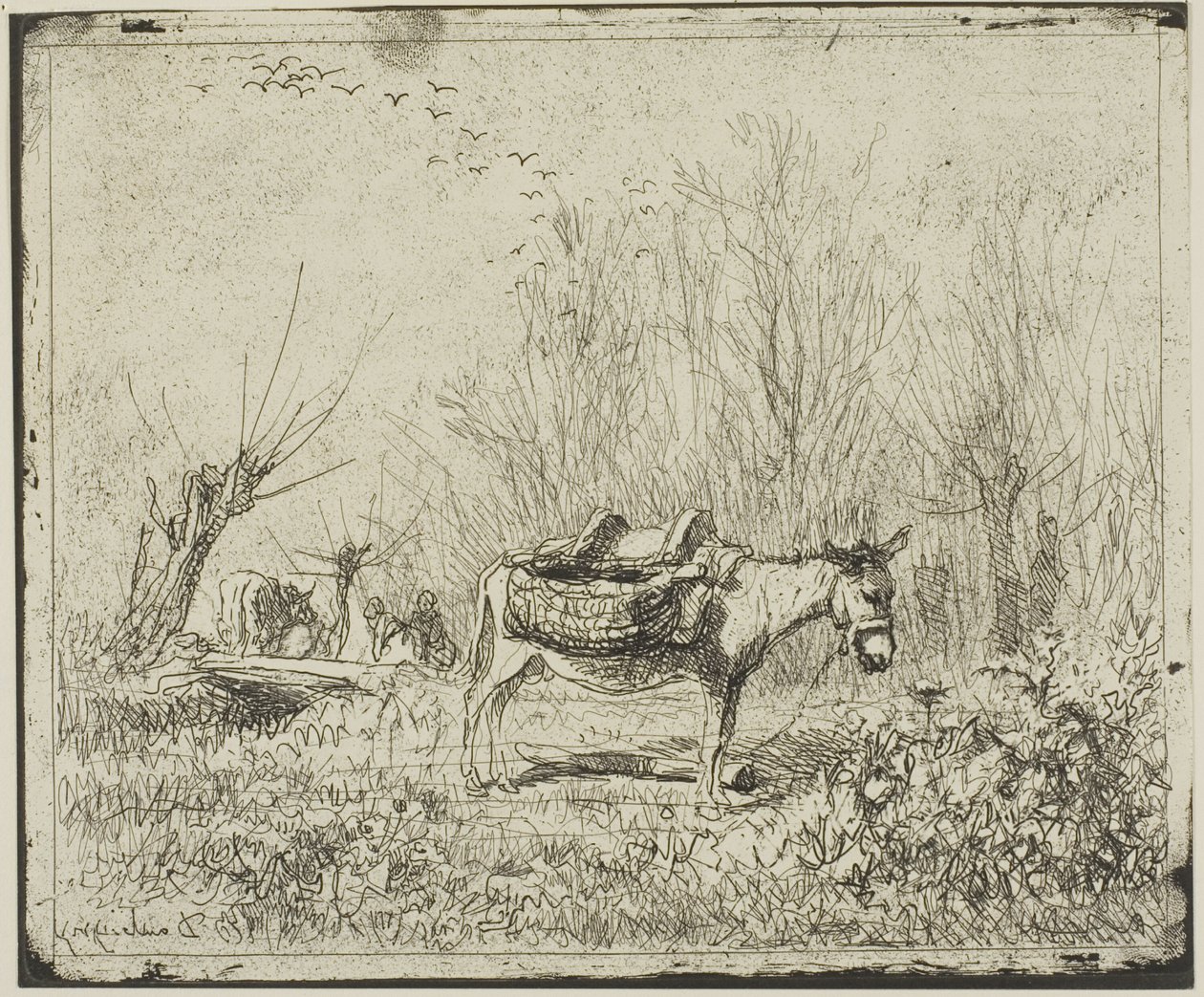 Osioł na łące autorstwa Charles Francois Daubigny