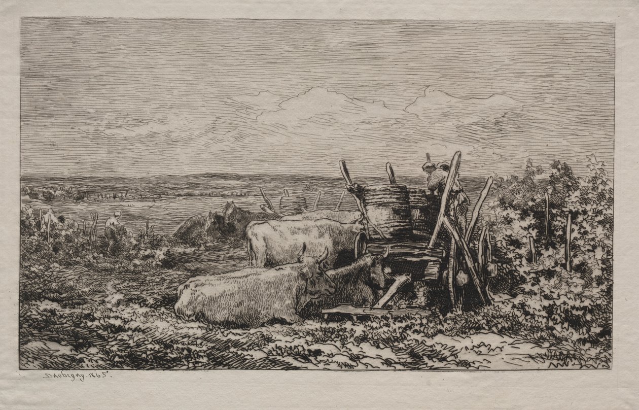 Zbiory winogron autorstwa Charles Francois Daubigny