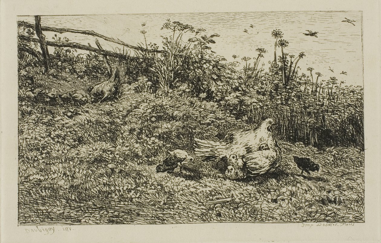 Kura i jej pisklęta autorstwa Charles Francois Daubigny