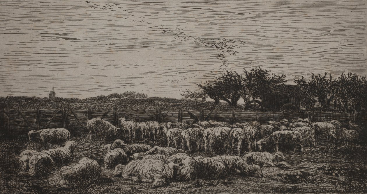 Duża owczarnia, 1860. autorstwa Charles Francois Daubigny