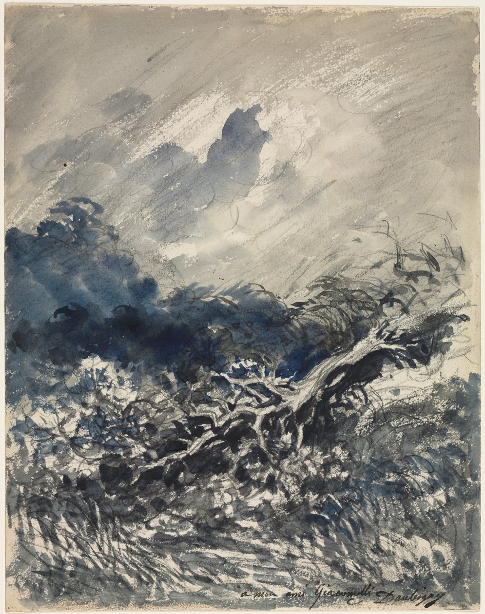 Dąb i trzcina autorstwa Charles Francois Daubigny