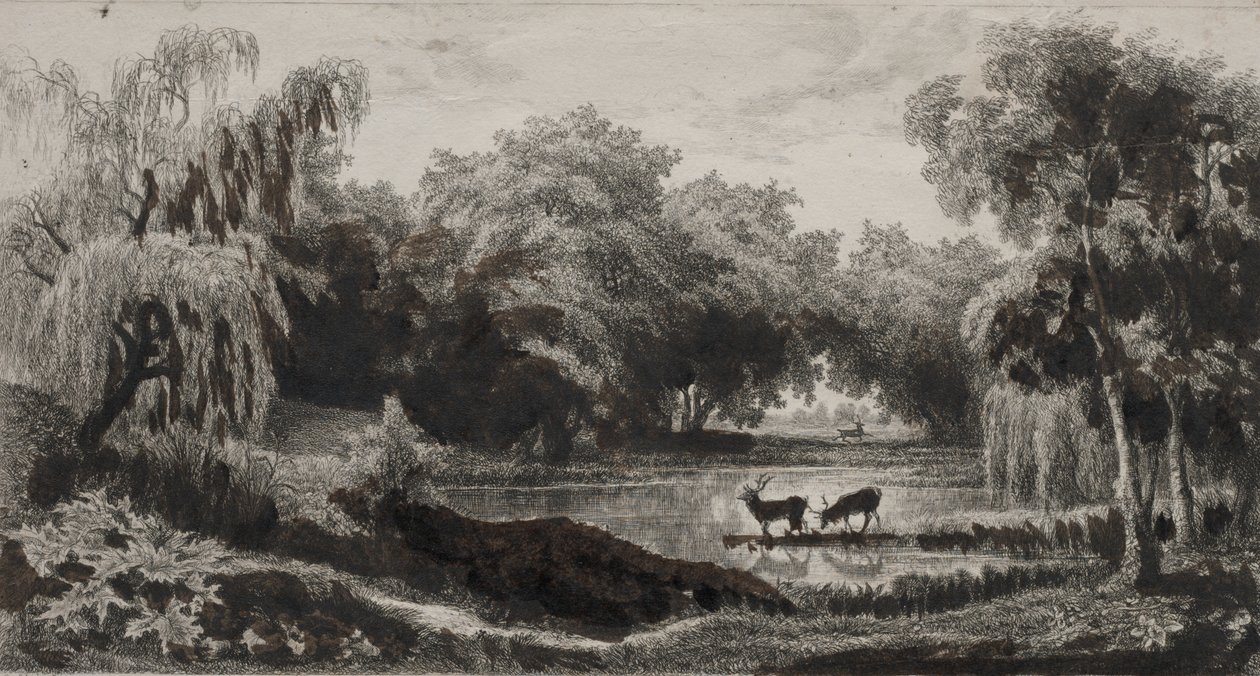Basen z jeleniem autorstwa Charles Francois Daubigny