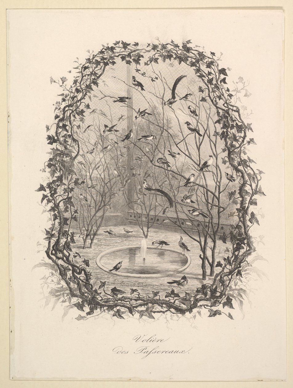 Woliera Wróbla, 1843. autorstwa Charles Francois Daubigny