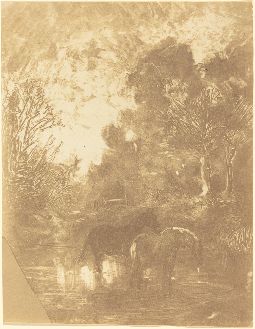 Dwa konie w wodopoju autorstwa Charles Francois Daubigny