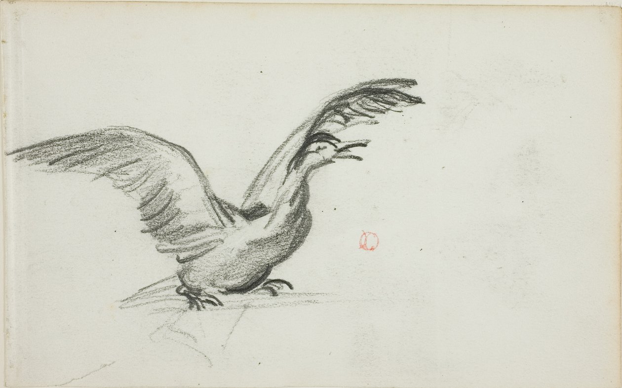 Dziki duet (recto); Dwie stojące nagie postacie kobiece w niszach (verso) autorstwa Charles Francois Daubigny
